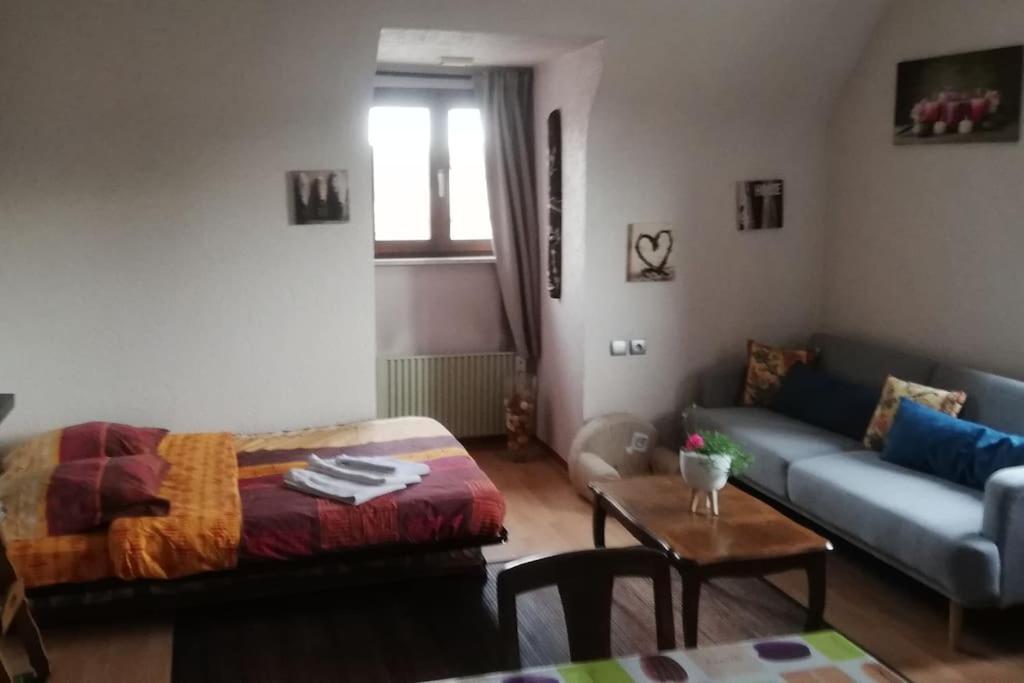 Chez Mamilou Apartment Soufflenheim Bagian luar foto